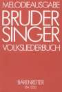 : Bruder Singer, Buch