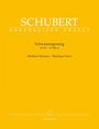 : Schwanengesang D 957 / D 965 A, Gesang und Klavier, mittlere Stimme, Noten