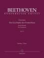 Ludwig van Beethoven: Ouvertüre "Die Geschöpfe des Prometheus" für Orchester op. 43, Buch