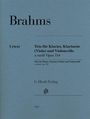 Johannes Brahms: Trio für Klavier, Klarinette (Viola) und Violoncello a-moll op. 114, Buch