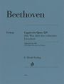 : Ludwig van Beethoven - Alla Ingharese quasi un Capriccio G-dur op. 129 (Die Wut über den verlorenen Groschen), Buch
