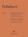 Franz Schubert (1797-1828): Franz Schubert - Variationen über "Trockne Blumen" e-moll op. post. 160 D 802, Buch