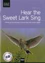 Robert Latham: Hear the Sweet Lark Sing. Chorleiterausgabe SA/SSA a cappella, Noten