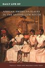Paul E Teed: Daily Life of African American Slaves in the Antebellum South, Buch
