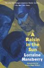 Lorraine Hansberry: A Raisin in the Sun, Buch