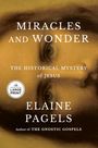 „Miracles and Wonder: The Historical Mystery of Jesus“ von Elaine Pagels. Illustration eines Gesichts im Hintergrund.