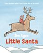 Jon Agee: Little Santa, Buch