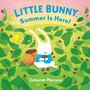 Text: "LITTLE BUNNY, Summer Is Here!", "Deborah Marcero". Illustration eines Hasen inmitten grüner Blätter und Erdbeeren.