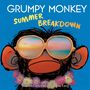 "GRUMPY MONKEY SUMMER BREAKDOWN" oben in Blau und Gelb. Ein Affe mit Sonnenbrille und Blumenkranz darunter.