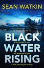 „Sean Watkin, Black Water Rising.“ Skyline mit modernen Gebäuden am Abend.
