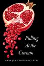 Mary Jane Philpy-Dollins: Pulling At the Curtain, Buch