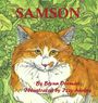 Brynn Dorman: Samson, Buch