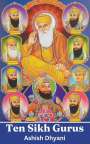 Ashish Dhyani: Ten Sikh Gurus, Buch