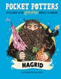 J. K. Rowling: Pocket Potters: Hagrid (Little Guides to the Harry Potter Books #6), Buch