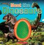 "Meet the Dinosaurs. Open the egg for a dino surprise." Dinosaurier und ein großer, grüner Dinosaurier im Hintergrund.