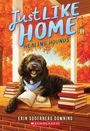 Erin Soderberg Downing: Healing Hounds (Just Like Home, Book Three), Buch