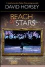 "BEACH of STARS" von David Horsey. Person geht am Strand, Palmen im Hintergrund, Rahmen um die Szene.