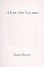Evan Mercer: After The System, Buch