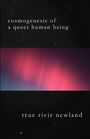"cosmogenesis of a queer human being" oben, "true rivir newland" unten, Sternenhintergrund, farbige Aurora in der Mitte.
