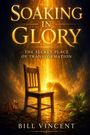 „SOAKING IN GLORY. THE SECRET PLACE OF TRANSFORMATION. BILL VINCENT.“ Eine leuchtende Illustration mit Stuhl, kniender Figur und Pflanze.