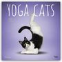 Browntrout Publishers Inc: Yoga Cats - Katzen Yoga 2026 - 16-Monatskalender, KAL