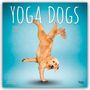 Browntrout Publishers: Yoga Dogs - Hunde Yoga 2026 - 16-Monatskalender, KAL
