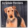Browntrout Publishers: Airedale Terrier 2026 - 16-Monatskalender, KAL