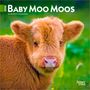 Browntrout: Baby Moo Moos 2026 7 X 14 Inch (Hanging) Monthly Mini Wall Calendar, KAL