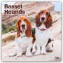 Browntrout Publishers: Basset Hounds 2026 - 16-Monatskalender, KAL