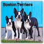 Browntrout Publishers: Boston Terriers 2026 - 16-Monatskalender, KAL