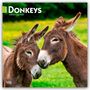 Browntrout Publishers: Donkeys - Esel 2026 - 16-Monatskalender, KAL