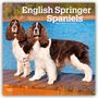 Browntrout Publishers: English Springer Spaniels 2026 - 16-Monatskalender, KAL