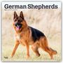 Browntrout Publishers: German Shepherds - Deutsche Schäferhunde 2026 - 16-Monatskalender, KAL