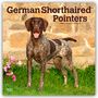 Browntrout Publishers: German Shorthaired Pointers - Deutsch Kurzhaar 2026 - 16-Monatskalender, KAL