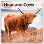 Browntrout Publishers: Highland Cows - Hochlandrinder 2026 - 16-Monatskalender, KAL
