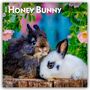Browntrout Publishers: Honey Bunny - Süße Häschen 2026 - 16-Monatskalender, KAL