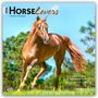 Browntrout Publishers: Horse Lovers - Pferdeliebhaber 2026 - 16-Monatskalender, KAL