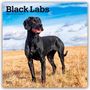 Browntrout Publishers: Black Labrador Retriever - Schwarze Labrador Retriever 2026 - 16-Monatskalender, KAL