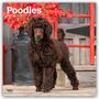 Browntrout Publishers: Poodles - Pudel 2026 - 16-Monatskalender, KAL