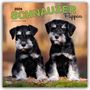 Browntrout Publishers: Schnauzer Puppies - Schnauzer Welpen 2026 - 16-Monatskalender, KAL