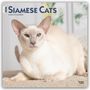 Browntrout Publishers: Siamese Cats - Siamesische Katzen - Siamkatzen 2026 - 16-Monatskalender, KAL