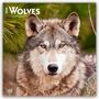 Browntrout Publishers: Wolves - Wölfe 2026 - 16-Monatskalender, KAL