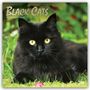 Browntrout Publishers: Black Cats - Schwarze Katzen 2027 - 16-Monatskalender, KAL