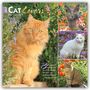"2024 CAT Lovers 16-MONTH CALENDAR" und Zitat: "But cannot this cat also be...?" Illustrationen von Katzen in bunten Blumen.