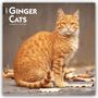 "2027 Ginger Cats 16-Month Calendar." Eine orangefarbene Katze sitzt auf dem Boden mit Herbstblättern um sie herum.
