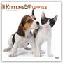 Browntrout Publishers: Kittens & Puppies - Kätzchen & Welpen 2027 - 16-Monatskalender, KAL