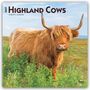 Titel: "2027 Highland Cows". Eine zottelige Highland-Kuh steht auf einer grünen Wiese unter klarem Himmel.