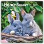 Oben steht "2027 Honey Bunny, 16-Month Calendar". Zwei graue Kaninchen schmiegen sich aneinander, umgeben von grünem Laub.