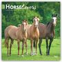 "2027 Horse Lovers Kalender" mit einem Zitat über Pferde von Dorothea Gilroy. Drei Pferde auf einer grünen Wiese.