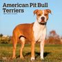 "American Pit Bull Terriers. 2027 16-Month Calendar." Ein kräftiger Hund steht auf einer Wiese mit Bäumen im Hintergrund.